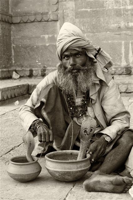 Snake Charmer