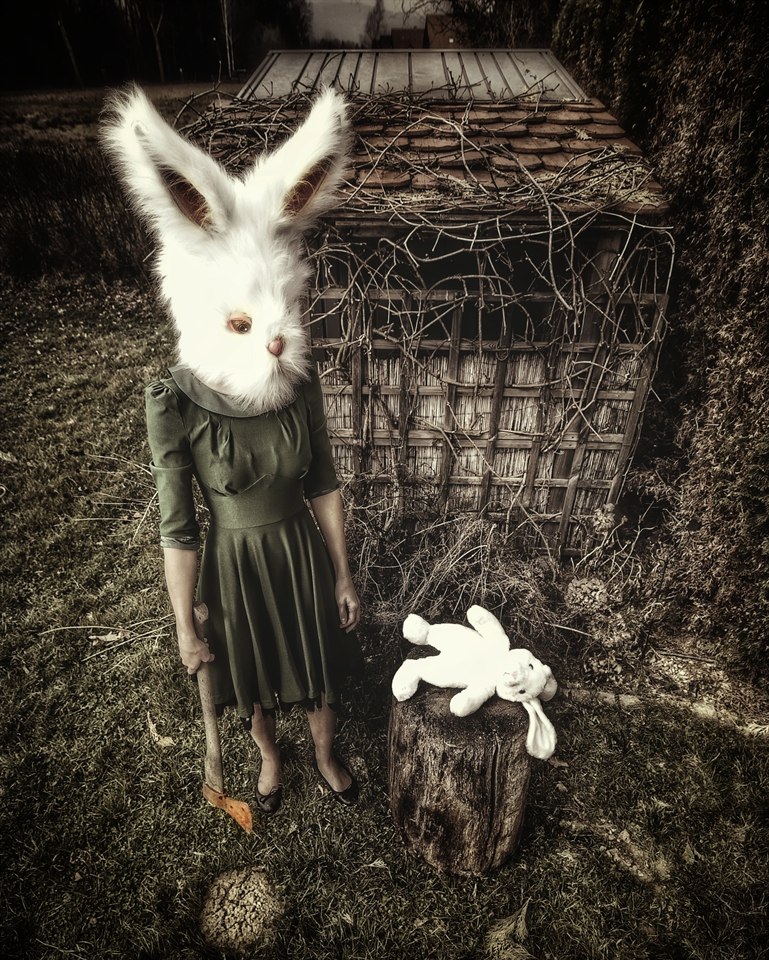 PetraH-Bunny-1