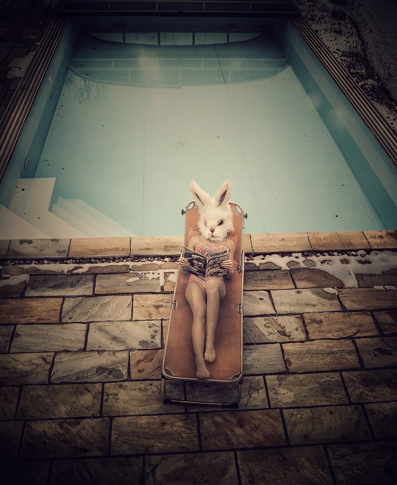 PetraH-Bunny-12