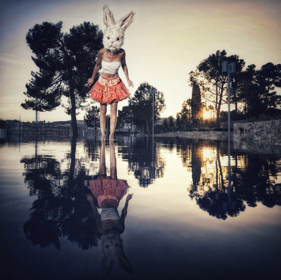 PetraH-Bunny-17