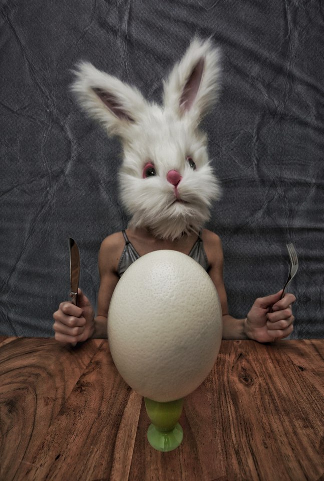 PetraH-Bunny-2