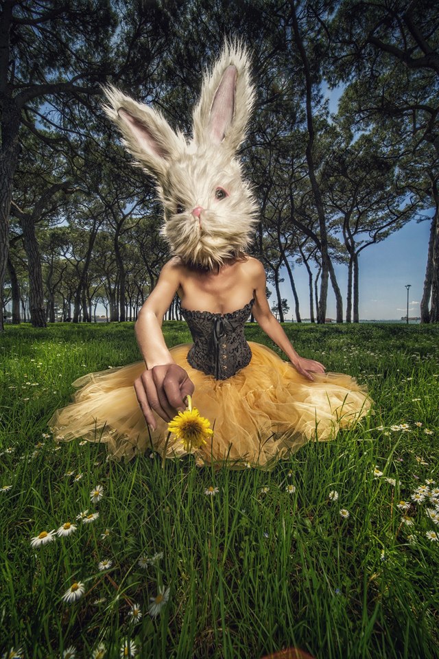 PetraH-Bunny-20