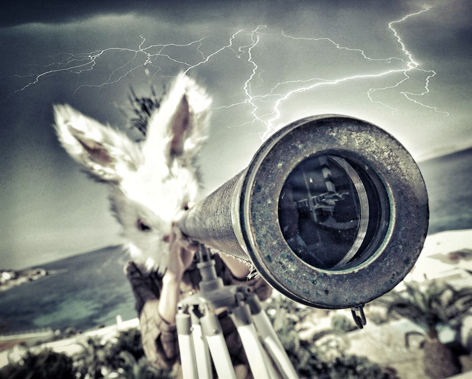 PetraH-Bunny-22