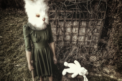 PetraH-Bunny-1