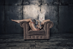 PetraH-Bunny-1