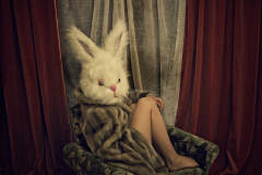 PetraH-Bunny-13