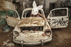 PetraH-Bunny-16