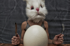 PetraH-Bunny-2