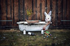 PetraH-Bunny-2
