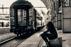 PetraH-Bunny-21