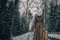 PetraH-Bunny-6