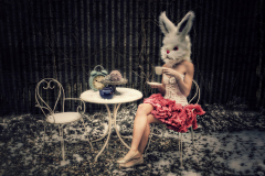 PetraH-Bunny-7