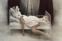 PetraH-Bunny-8