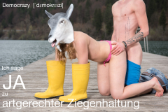 20170326-D81_0917-Bearbeitet